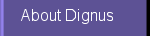 About Dignus, LLC